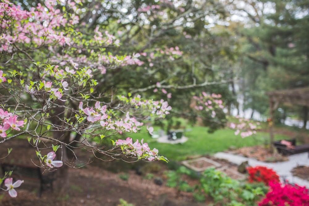 Bed and Breakfast The Applewood Manor Эшвилл Экстерьер фото